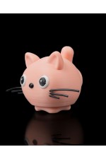 Kedi Clicker Oyuncak Kedi Clicker Oyuncak