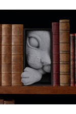 Kedi - Book Nook - Kitap Tutucu Kedi - Book Nook - Kitap Tutucu