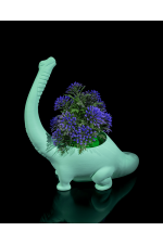 Dino Saksı Dino Saksı