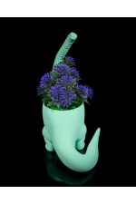 Dino Saksı Dino Saksı