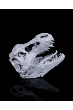 Şekilli Duvara Monte Askılık - T-Rex Dinozor Şekilli Duvara Monte Askılık - T-Rex Dinozor